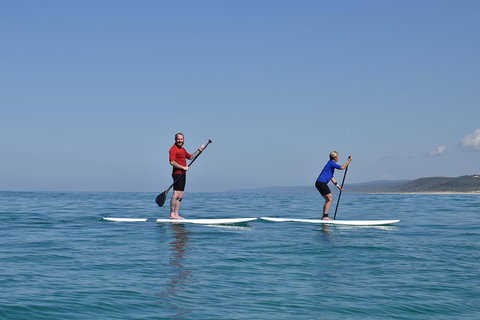 Stand Up Paddle Double Island Lesson - Attractions Brisbane 1