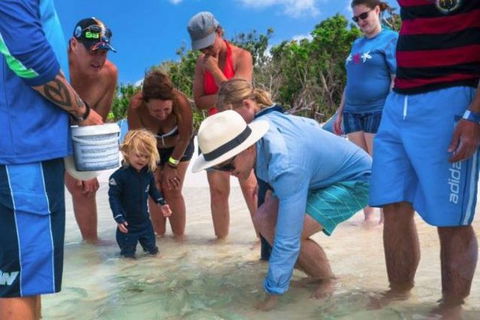 Whitehaven Beach And Hill Inlet Chill And Grill - Attractions Brisbane 1