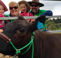 Mackay's Day in the Clouds Paddock to Plate Tour - Attractions Brisbane
