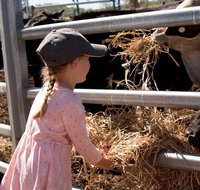 Mackay Farm Food and Flavours Tour - Attractions Brisbane
