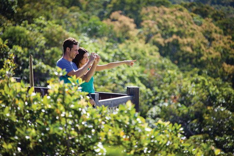 Conway National Park Coral Beach Walk Including Shute Harbour From Airlie Beach - Attractions Brisbane 0