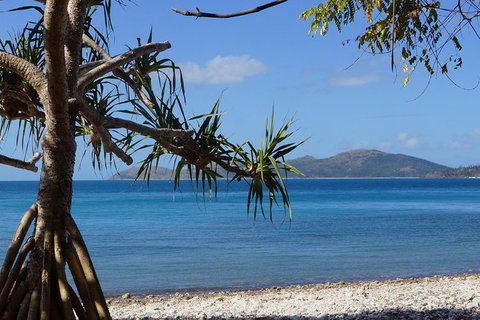 Conway National Park Coral Beach Walk Including Shute Harbour From Airlie Beach - Attractions Brisbane 1