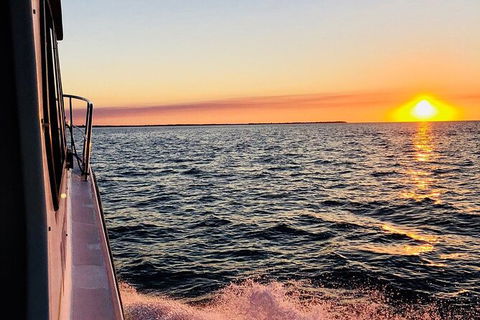 Hervey Bay Whale Swim And Watch - Attractions Brisbane 7