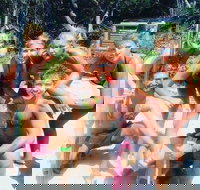 1770 CASTAWAY SURVIVOR 3 Day 2 Night Island Adventure Tour - Attractions Brisbane