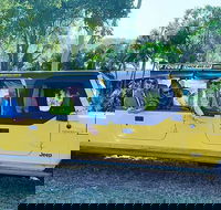 3.5 hour Eco Tour - Attractions Brisbane