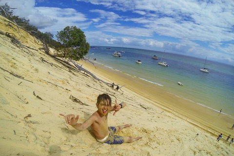 All Inclusive Dolphin And Tangalooma Wrecks Cruise Departing Gold Coast - Attractions Brisbane 8