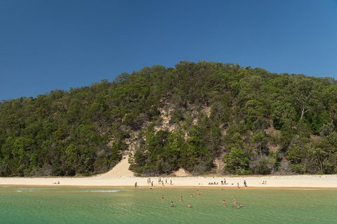 All Inclusive Dolphin And Tangalooma Wrecks Cruise Departing Gold Coast - Attractions Brisbane 3