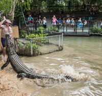 Hartley's Crocodile Adventures General Entry Ticket - Attractions Brisbane