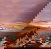 Darwin Harbour Sunset Cruise with Optional Buffet Dinner - Attractions Brisbane