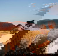 Uluru Ayers Rock Sunset with Outback Barbecue Dinner and Star Tour - Attractions Brisbane