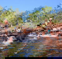 Litchfield and Jumping Crocodiles Full Day Trip from Darwin - Attractions Brisbane