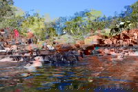 Litchfield and Jumping Crocodiles Full Day Trip from Darwin