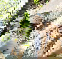 Small-Group Litchfield National Park Day Trip from Darwin - Attractions Brisbane