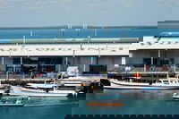 Darwin Harbour Bombing of Darwin Cruise