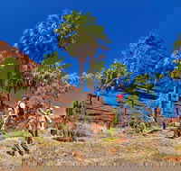 Palm Valley 4WD Tour from Alice Springs - Attractions Brisbane