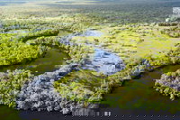 Darwin to Kakadu Day Trip by Air Including Yellow Water Cruise