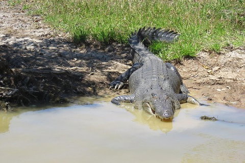 Darwin To Kakadu Day Trip By Air Including Yellow Water Cruise - Attractions Brisbane 5