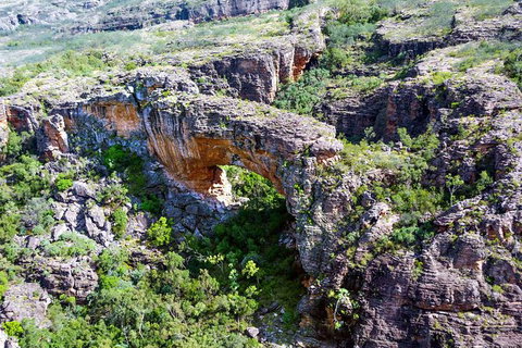 Darwin To Kakadu Day Trip By Air Including Yellow Water Cruise - Attractions Brisbane 13