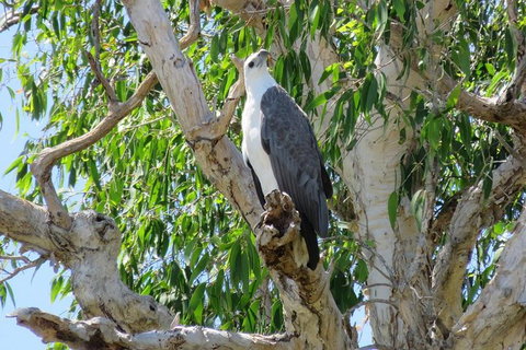 Darwin To Kakadu Day Trip By Air Including Yellow Water Cruise - Attractions Brisbane 6