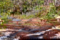 Litchfield National Park Day Tour from Darwin With Waterfalls And Buley Rockhole