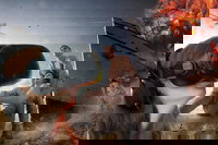 Darwin Combo The Bombing of Darwin Experience  Darwin Harbour Cruise