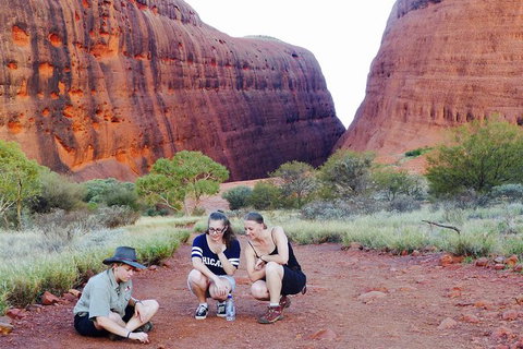 Afternoon Kata Tjuta Small Group Tour - Attractions Brisbane 7