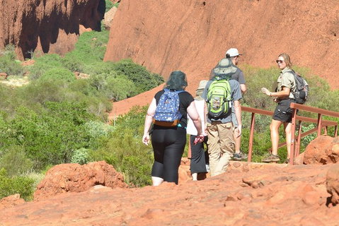 Afternoon Kata Tjuta Small Group Tour - Attractions Brisbane 9