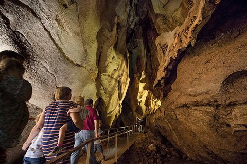 Cutta Cutta Caves Nature Park Guided Tours - Attractions Brisbane 0
