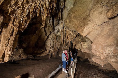 Cutta Cutta Caves Nature Park Guided Tours - Attractions Brisbane 3