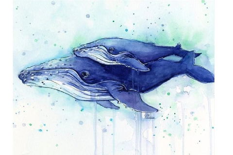 A Day At Sea - Six Tanks 3.00-5.00pm - Attractions Brisbane 0