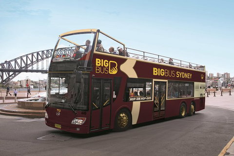 Big Bus Sydney And Bondi Hop-on Hop-off Tour - Attractions Brisbane 0