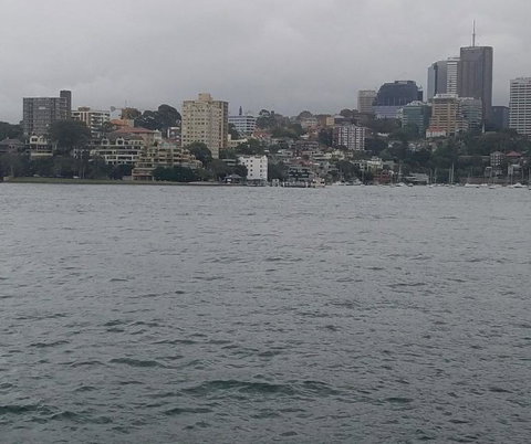 Big Bus Sydney And Bondi Hop-on Hop-off Tour - Attractions Brisbane 6