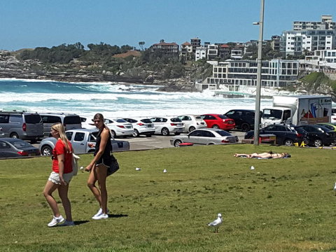 Big Bus Sydney And Bondi Hop-on Hop-off Tour - Attractions Brisbane 12