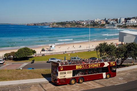 Big Bus Sydney And Bondi Hop-on Hop-off Tour - Attractions Brisbane 33