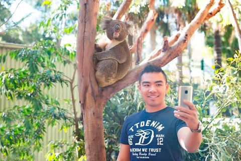 All Inclusive Full-Day Blue Mountains Trip From Sydney - Attractions Brisbane 1