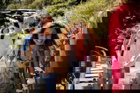 Book Sydney Accommodation Vacations Attractions Brisbane Attractions Brisbane