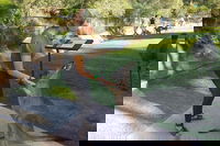 Sydney Private Day Tours - Central Coast Beaches Plus Wildlife  Reptile Park