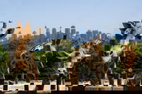 Sydney Taronga Zoo General Entry Ticket