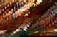 Jenolan Caves and Blue Mountains Tour from Sydney