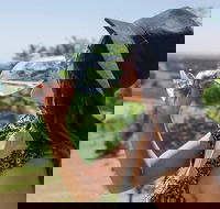 Scenic Hunter Valley Winery Tour with Boutique Wineries  Local Cheese - Attractions Brisbane