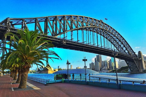 Half Day In Sydney With A Local: Private & Personalized - Attractions Brisbane 10