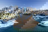 Sydney Morning Tour with Optional Lunch Cruise or Sydney Opera House Tour Upgrade