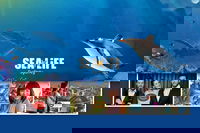 Sydney Attractions Pass SEA LIFE Aquarium Sydney Tower Eye WILD LIFE Zoo and Madame Tussauds