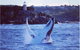 Whale Watching Sailing Experience In Sydney - thumb 6