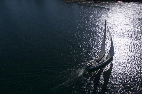 Whale Watching Sailing Experience In Sydney - Attractions Brisbane 10