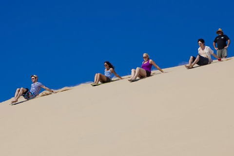 Port Stephens Day Tour From Sydney Including 4WD, Sandboarding And Dolphins - Attractions Brisbane 1