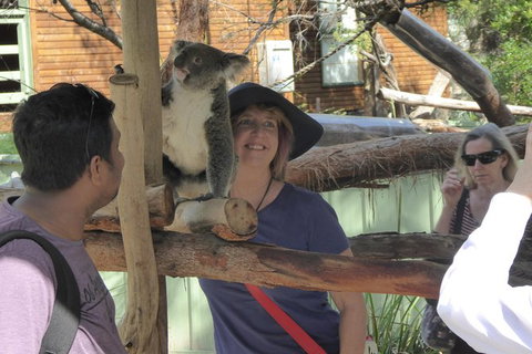 Hunter Valley Wine And Wildlife Tour From Sydney With Walkabout Wildlife Park - Attractions Brisbane 1