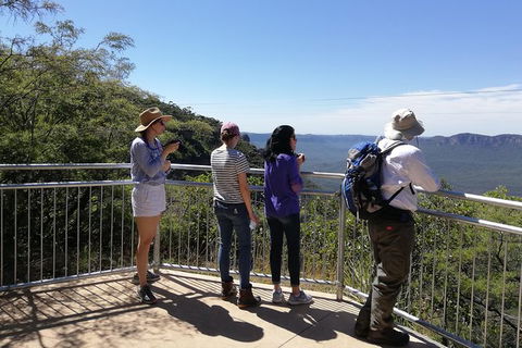 Blue Mountains Private Tour With Kangaroos & Koala Encounter - Attractions Brisbane 0