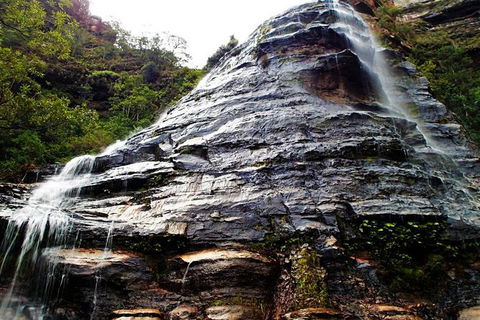 Blue Mountains Private Tour With Kangaroos & Koala Encounter - Attractions Brisbane 1