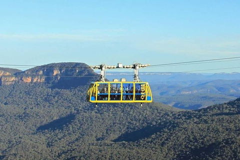 Blue Mountains Private Tour With Kangaroos & Koala Encounter - Attractions Brisbane 4